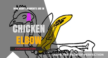 Ligaments in Chicken Elbows: A Surprising Number