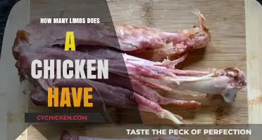 Understanding Chicken Anatomy: Exploring Their Limb Count and Function