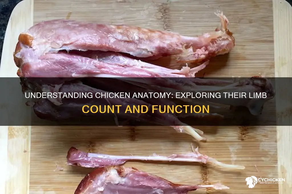 how many limbs does a chicken have