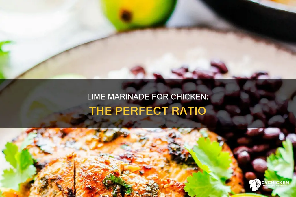 how many limes foe 2 pounds of chicken