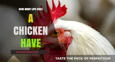 Unraveling the Mystery: Do Chickens Have Lips and How Many?