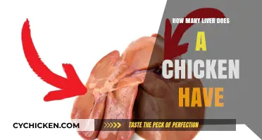 Unraveling the Mystery: How Many Livers Does a Chicken Possess?