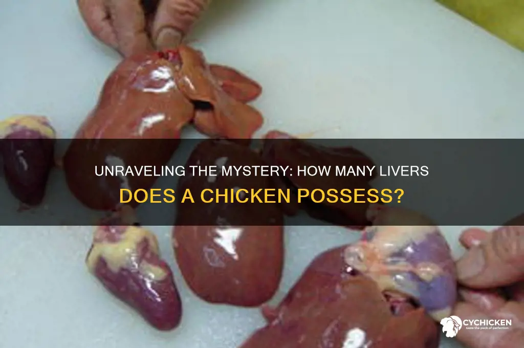 how many livers does a chicken have