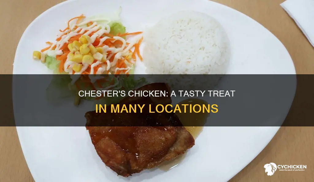 how many locations are there of chester
