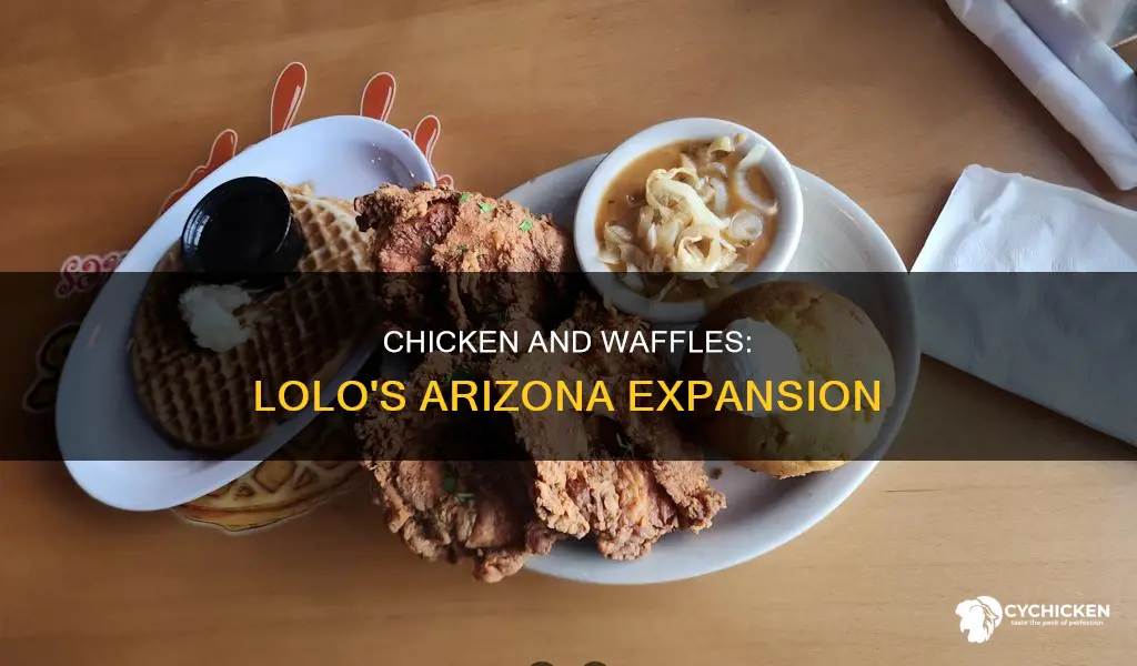 how many lolo