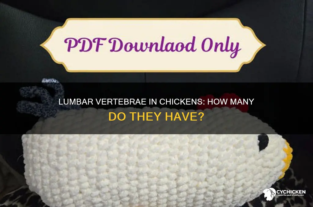 how many lumbar vertebrae does a chicken have