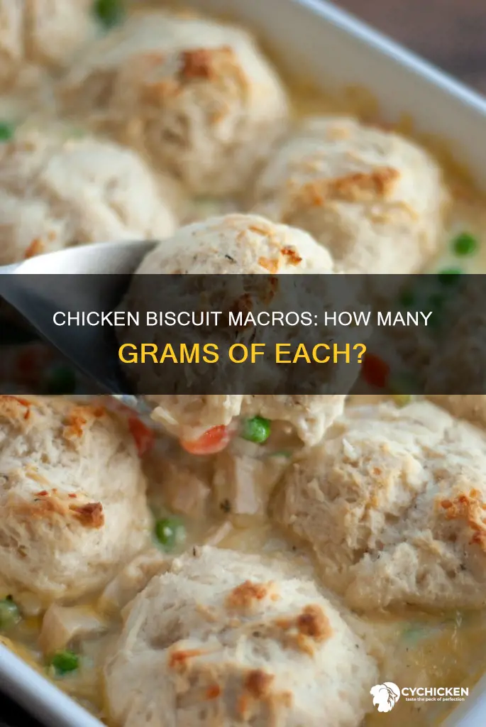how many macro grams are in a a chicken biscuit