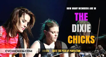 Who Are the Dixie Chicks? Exploring the Trio's History