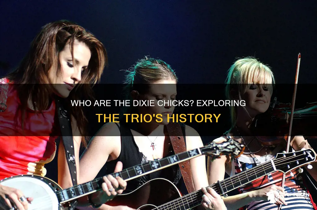 how many members are in the dixie chicks