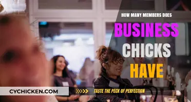Business Chicks Membership Count: How Many Professionals Are Connected?
