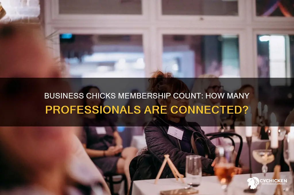 how many members does business chicks have