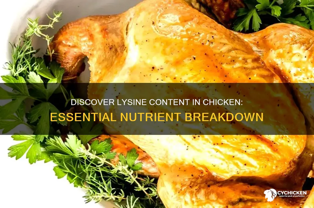 how many mg of lysine in chicken