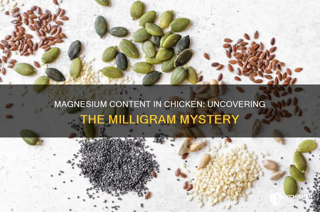 how many mg of magnesium in chicken
