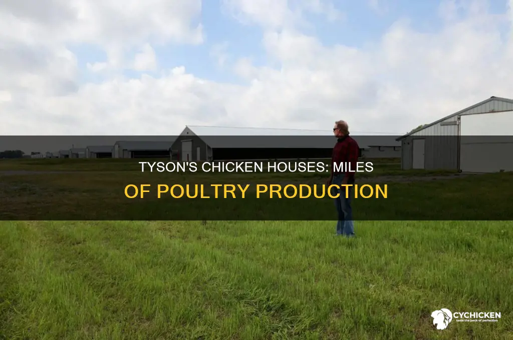 how many miles will tyson put chicken houses