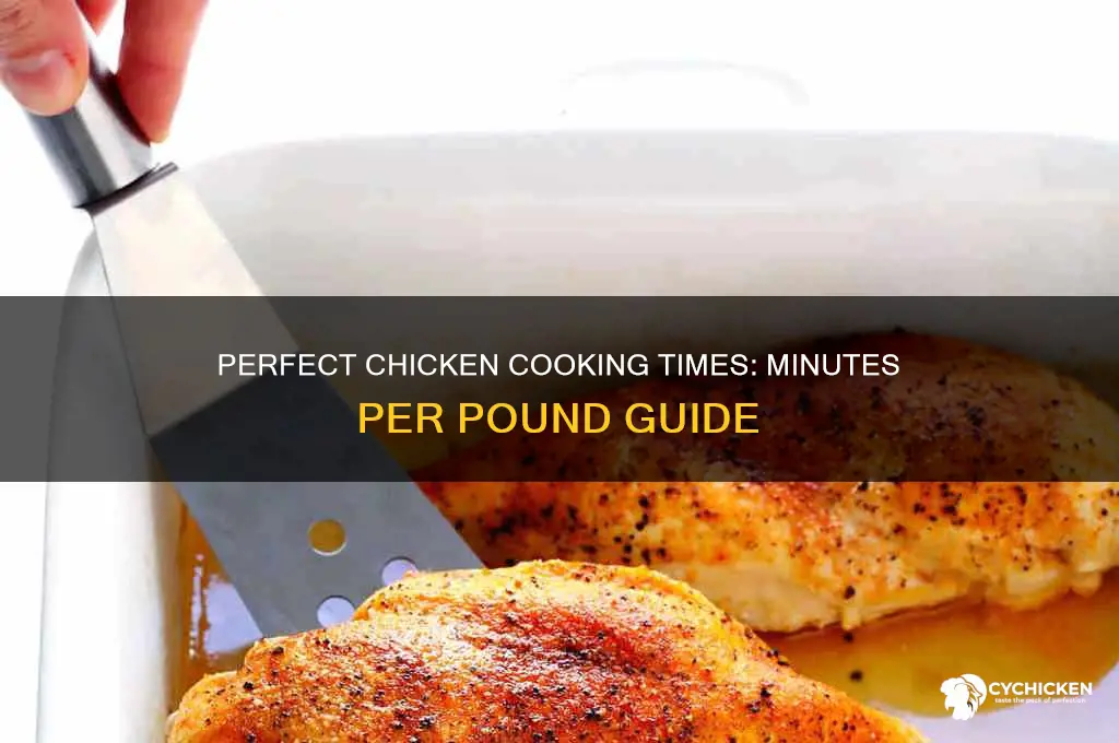 how many min per pound for chicken