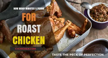 Perfect Roast Chicken: Cooking Time per Pound Explained