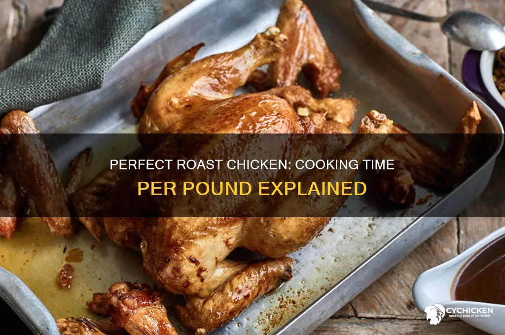 how many minutes a pound for roast chicken