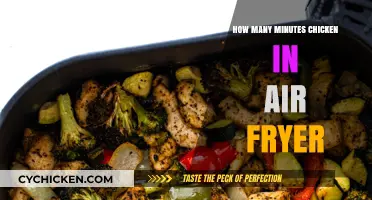 Perfect Air Fryer Chicken: Timing Tips for Juicy Results