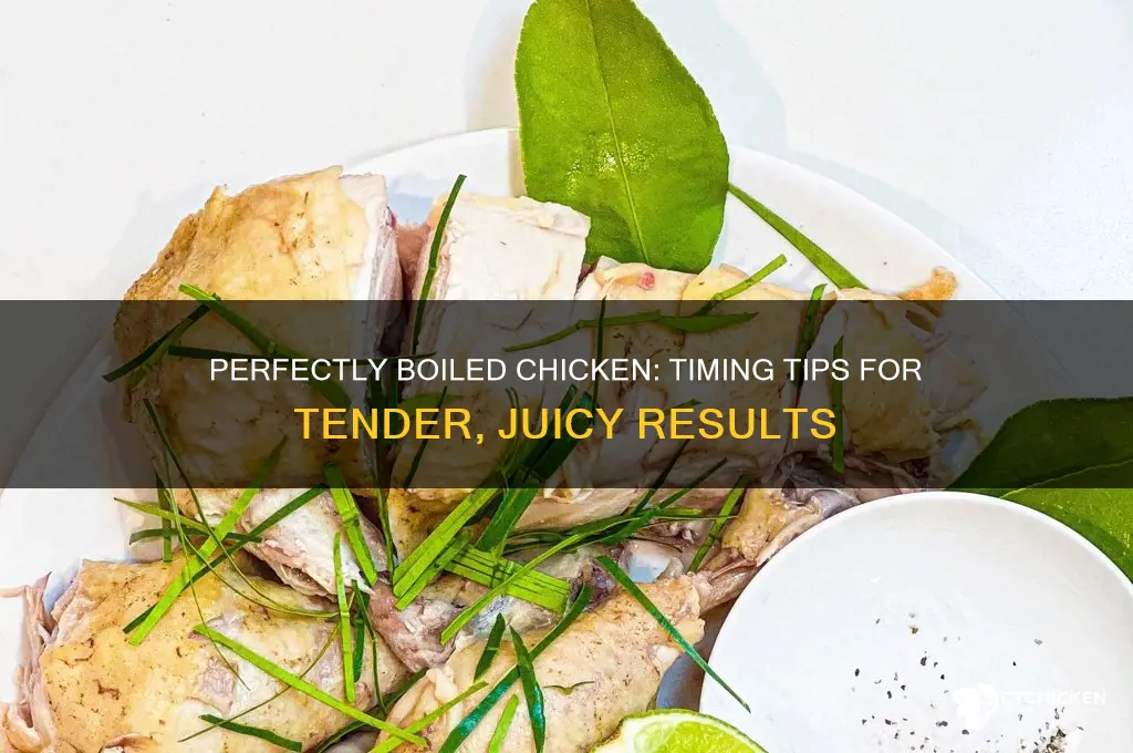 how many minutes do i boil chicken