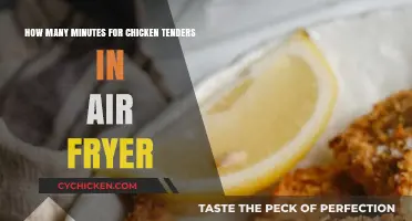 Air Fryer Chicken Tenders: Quick, Crispy, and Delicious!