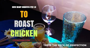 Perfect Roast Chicken: Minutes per Pound Guide for Juicy Results