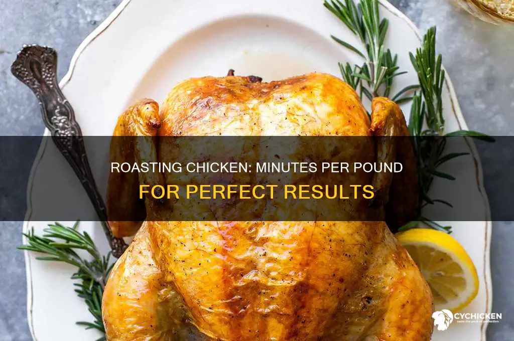 how many minutes per pound do youvroast chicken