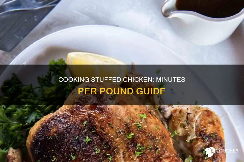 how many minutes per pound for stuffed chicken