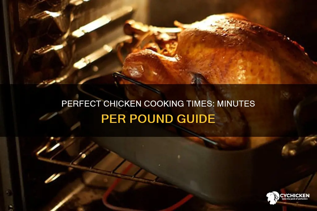 how many minutes per pound of chicken