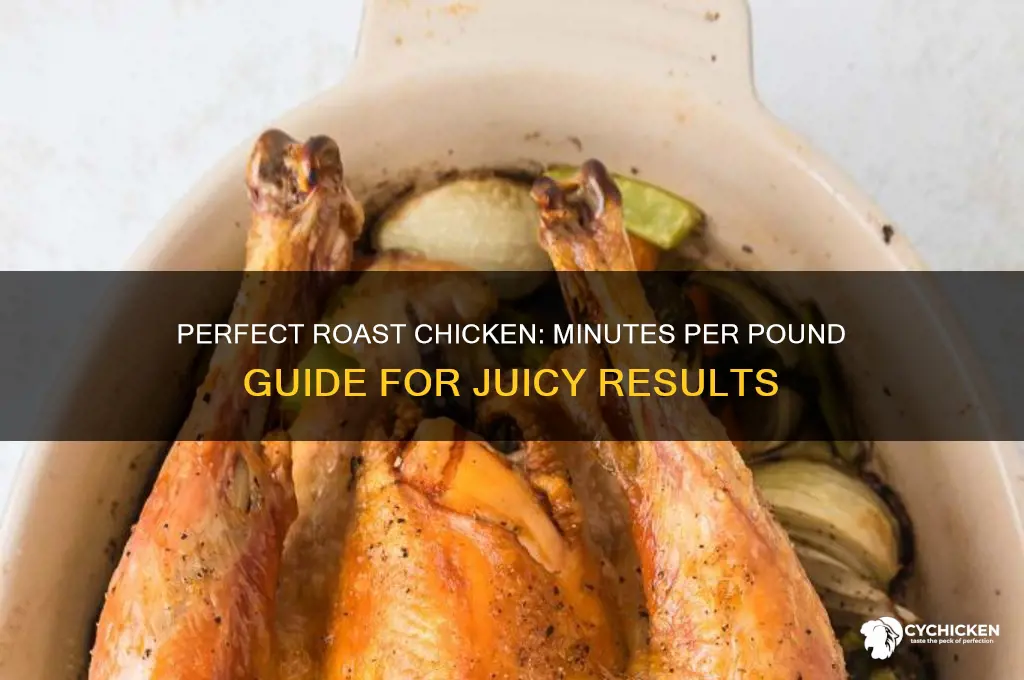 how many minutes per pound to roast a whole chicken