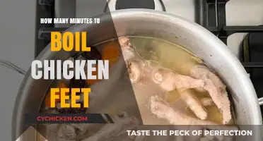 Perfectly Tender Chicken Feet: Mastering the Ideal Boiling Time