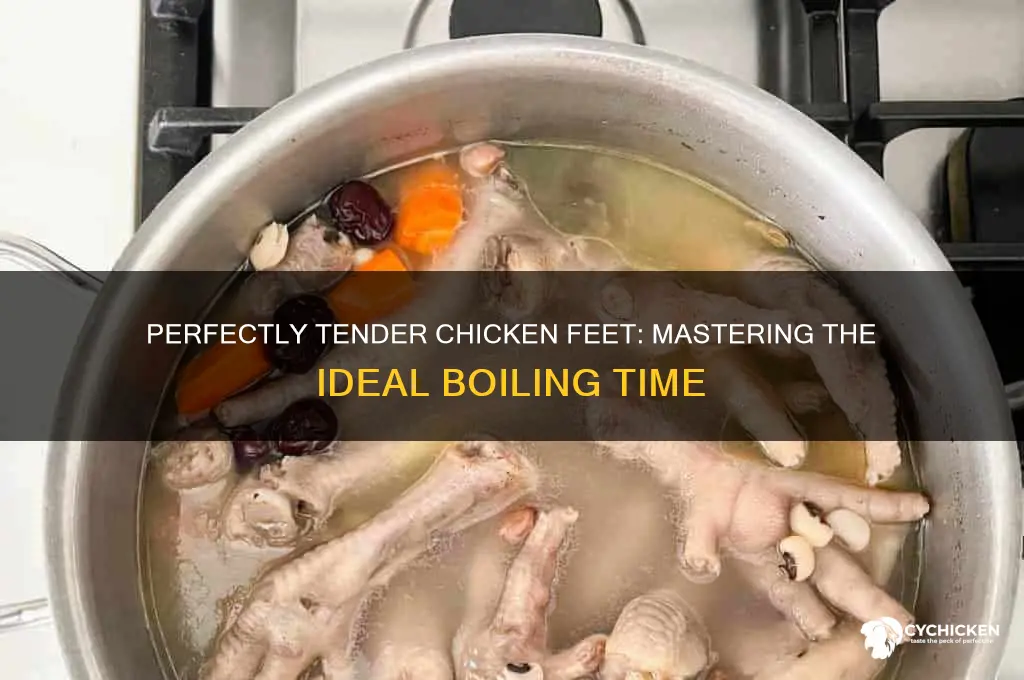 how many minutes to boil chicken feet