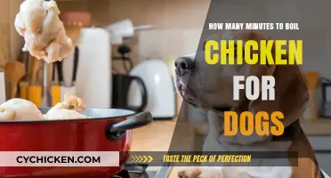 Boiling Chicken for Dogs: How Long is Enough?