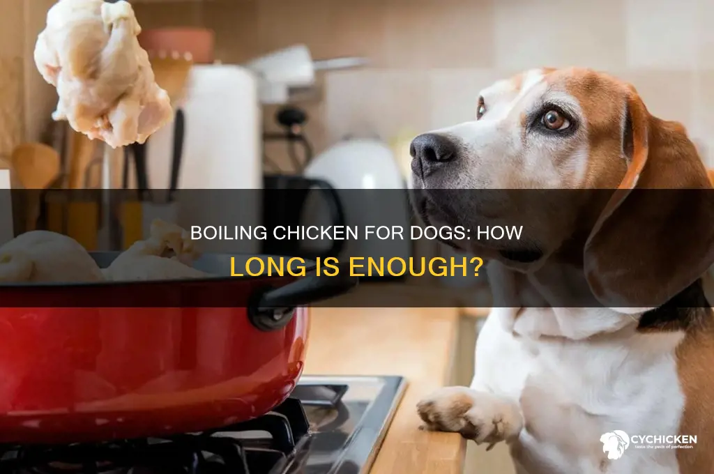 how many minutes to boil chicken for dogs