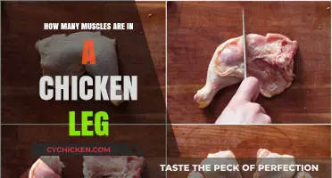 Exploring Muscles in Chicken Legs: A Detailed Look