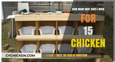 Chicken Roosting: Nesting Boxes for Happy Hens