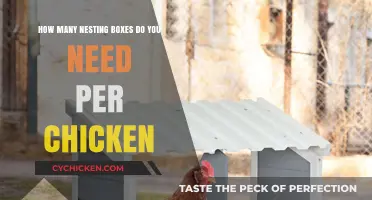 Nesting Boxes: How Many for Happy, Healthy Chickens?