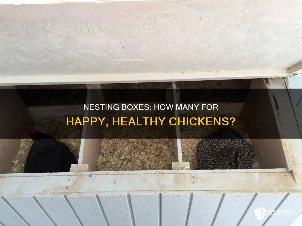 how many nesting boxes do you need per chicken