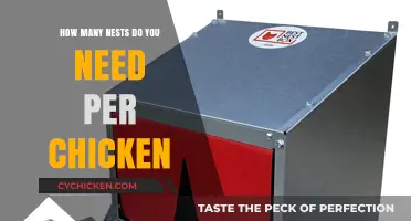 Nesting Boxes: How Many Does a Chicken Need?