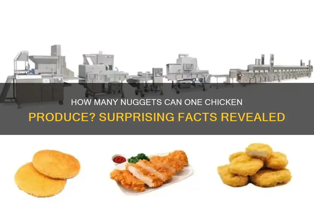 how many nuggets can a chicken make