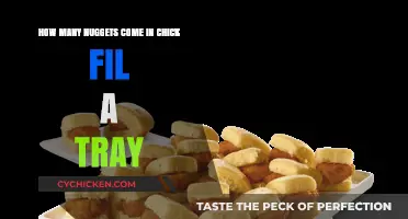 Chick-fil-A Nugget Tray Size: How Many Nuggets Are Included?