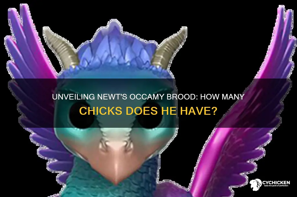how many occamy chicks does newt have