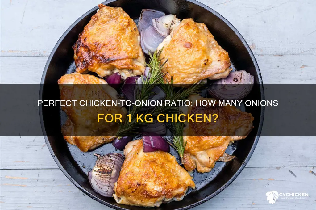 how many onions for 1 kg chicken