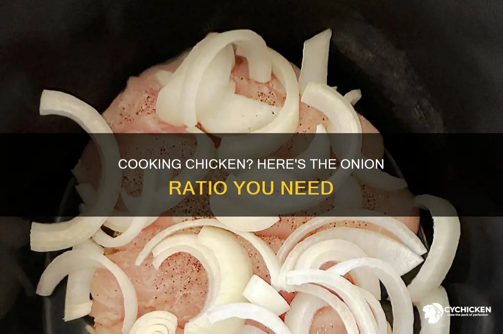 how many onions required for 1 kg chicken