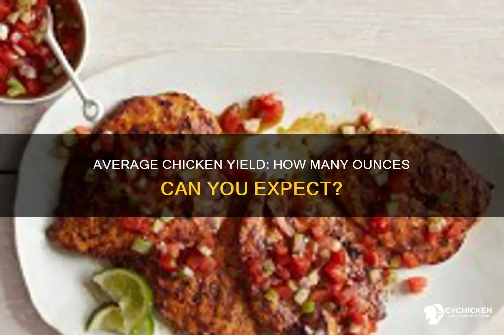 how many ounces chicken from average chicken