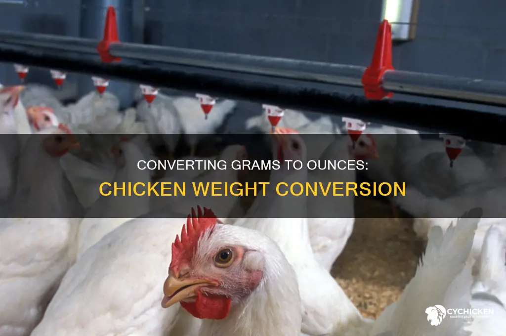 how many ounces is 250 grams of chicken