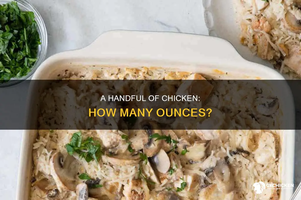 how many ounces is a handful of chicken