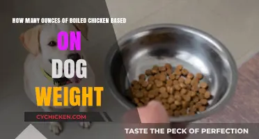 Chicken for Dogs: How Much to Feed by Weight
