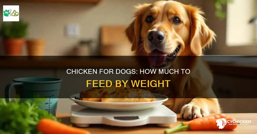 how many ounces of boiled chicken based on dog weight