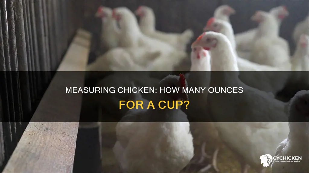 how many ounces of chicken are in a cup
