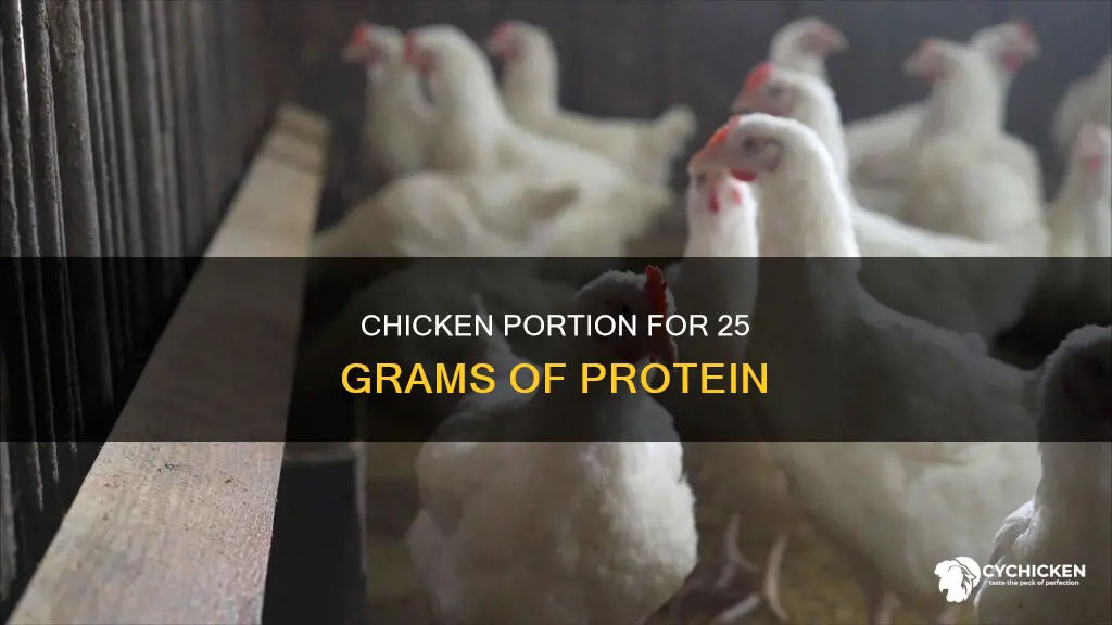 how many ounces of chicken equals 25 grams of protein